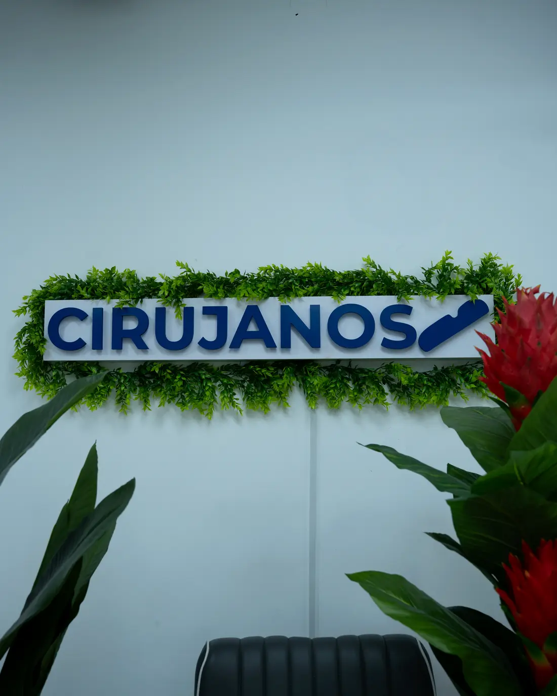 Logo de CIRUJANOS en muro de follaje verde en el studio La Casa Blanca, Lince, Lima